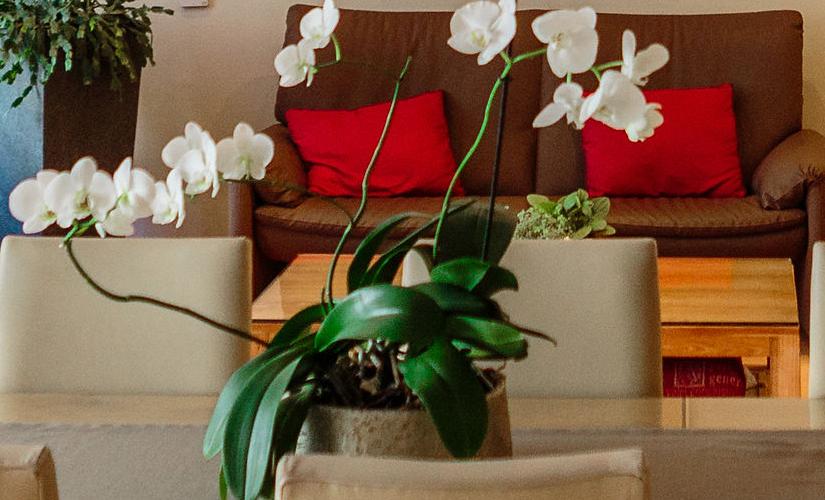 woonkamer palliatieve eenheid