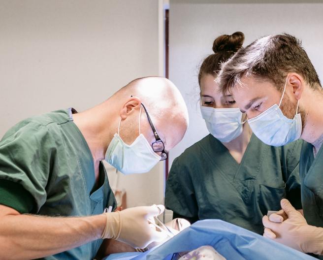 Geplande operaties van 16 juni 2021 op campus Sint-Elisabeth worden uitgesteld