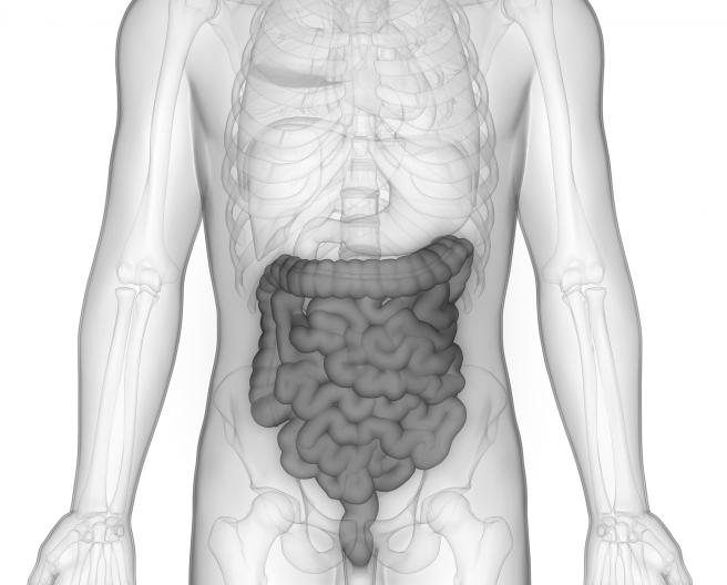 IBD
