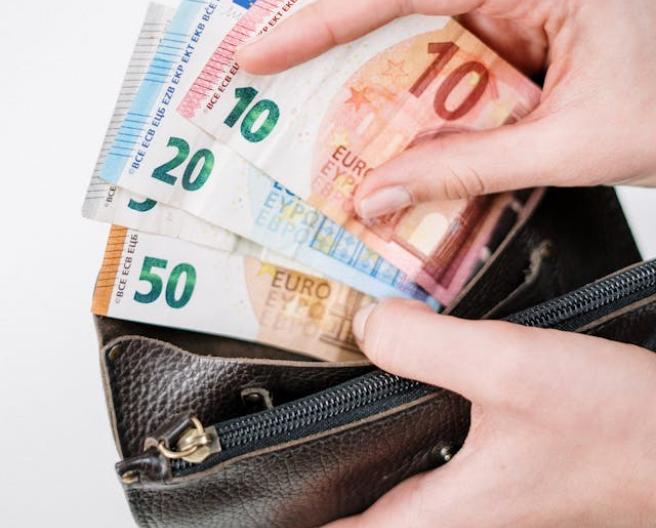 portefeuille met geld