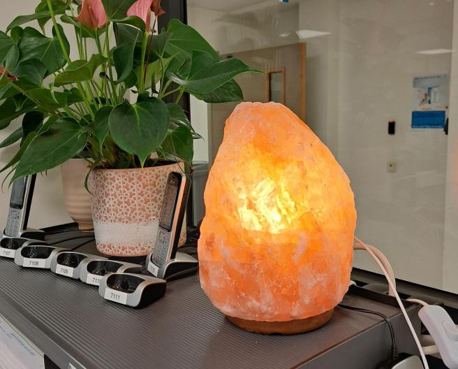 zoutlamp